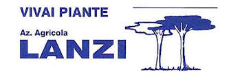 lanzi